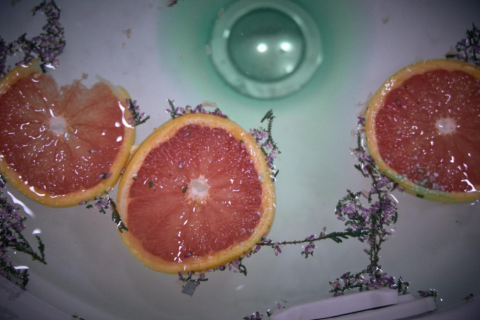 Fette di pompelmo ed erbe aromatiche nella vasca di un trattamento